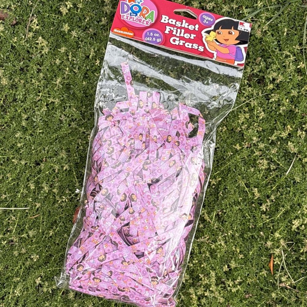 Dora The Explorer Easter Birthday Basket Filler Grass Nickelodeon Boots Printed